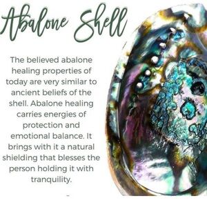 Abalone Shell